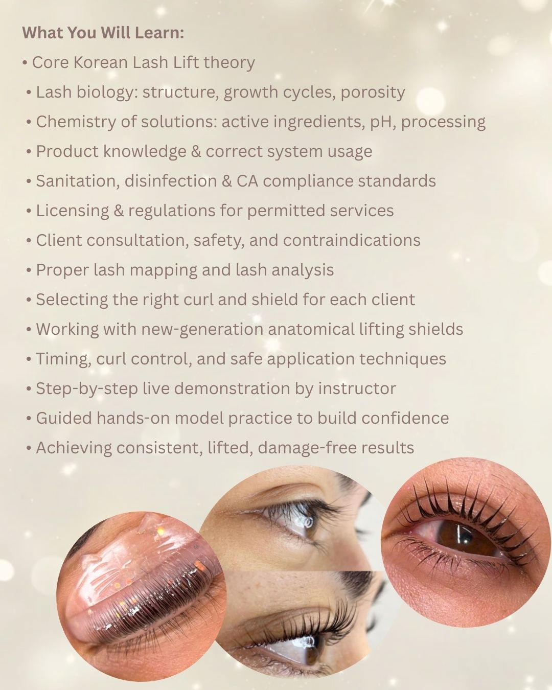 Korean Lash Lift Masterclass